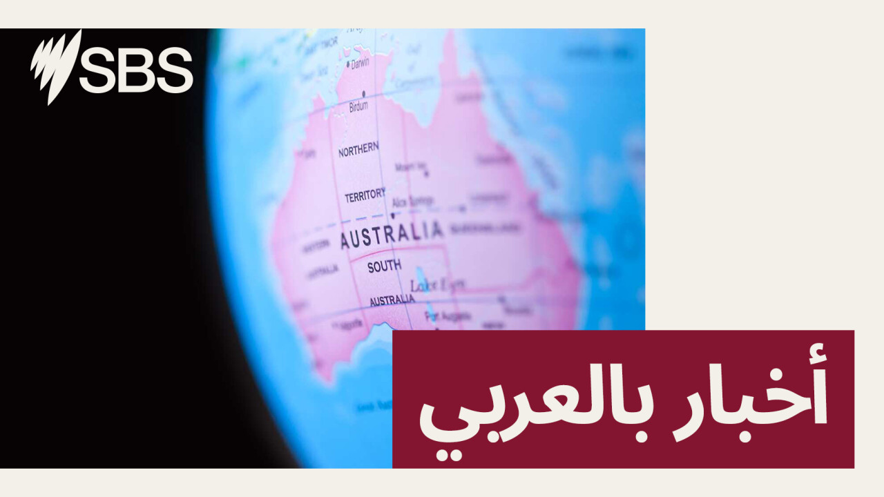 نشرة أخبار الظهيرة 25/11/2025
