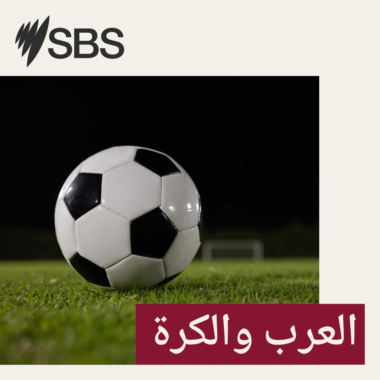 العرب والكرة: الجزائر وتونس.. تاريخ مونديالي وحلم يتجدد في كأس العالم 2026 episode artwork