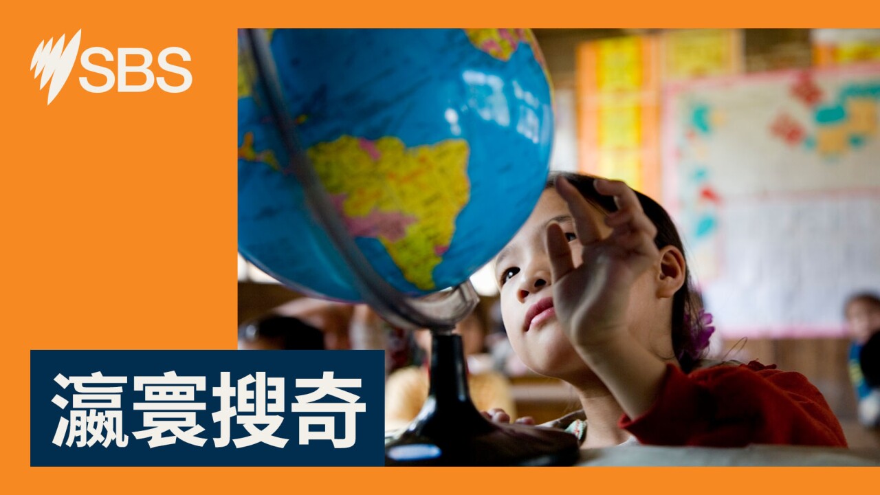 【雞先定蛋先?】科學家發現 OC-17 神秘蛋白 千年問題或終有答案? 【雞先定蛋先?】科學家發現 OC-17 神秘蛋白 千年問題或終有答案?