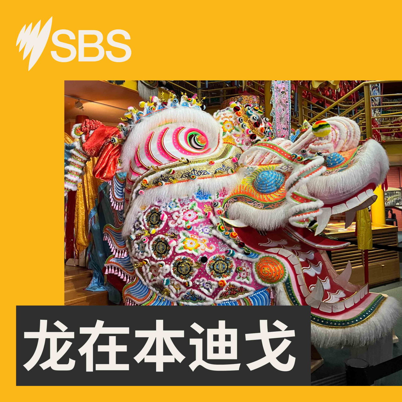 维州政府将为金龙博物馆创立者雷陽名举行州葬 纪念其数十载社区贡献