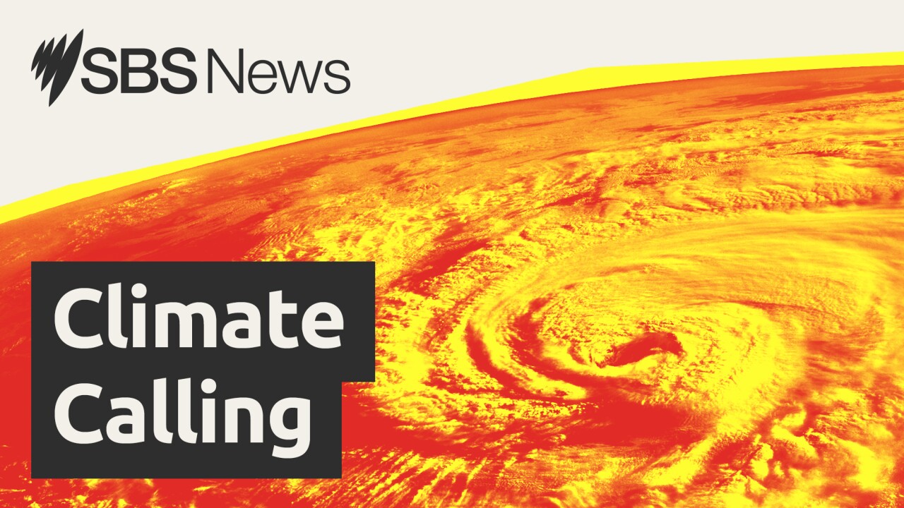 COP30 deal keeps humanity 'in the fight for a liveable planet': UN chief