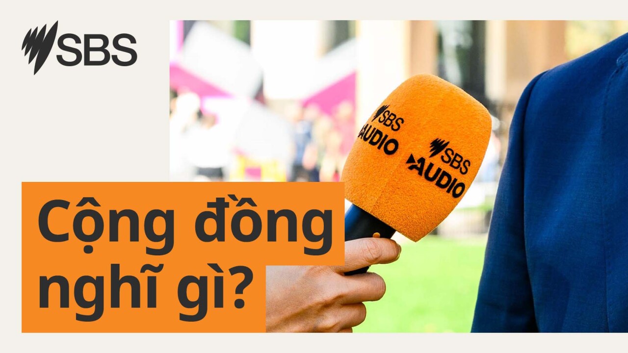 Cộng đồng nghĩ gì: AI và người Việt tại Úc - tiện lợi, nỗi lo và ranh giới cần giữ Cộng đồng nghĩ gì: AI và người Việt tại Úc - tiện lợi, nỗi lo và ranh giới cần giữ