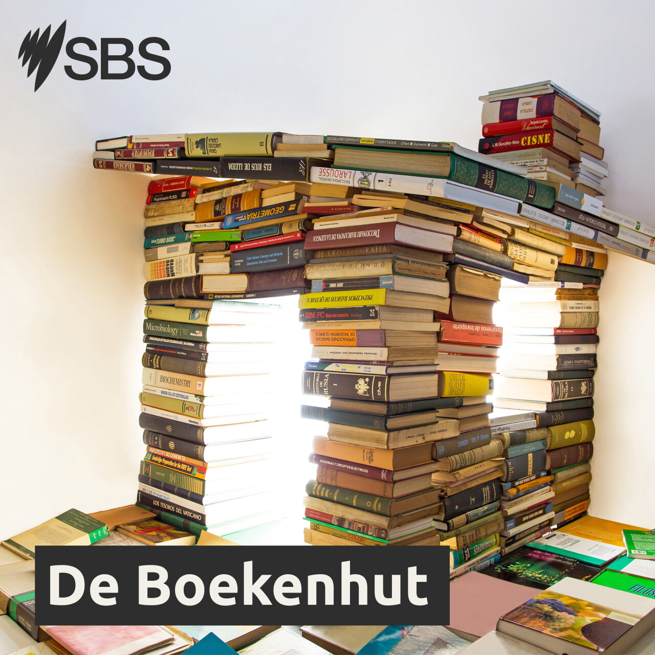 De Boekenhut: De Tijdkijker 1 - De Romeinse kogel