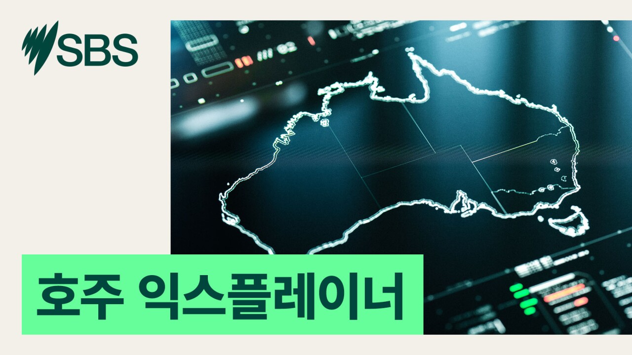 익스플레이너: 까치 말고도 있다! 호주 봄철 '스우핑 주의' 새들 총정리 episode artwork