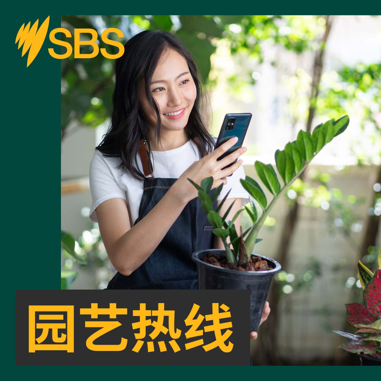 【园艺热线】如何养好微生物：激活EM菌的注意事项