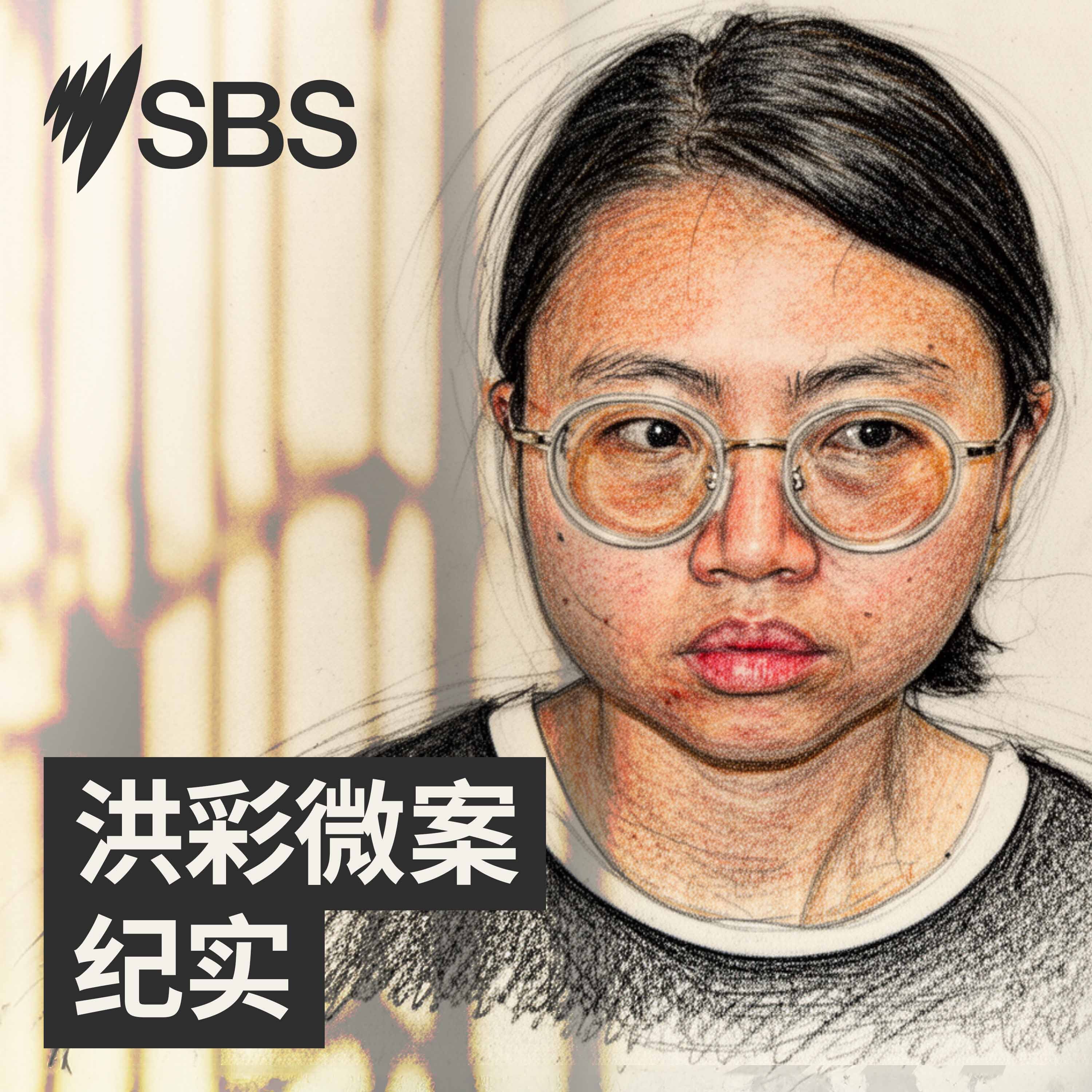 Housemate from Hell - 洪彩微案纪实 cover art