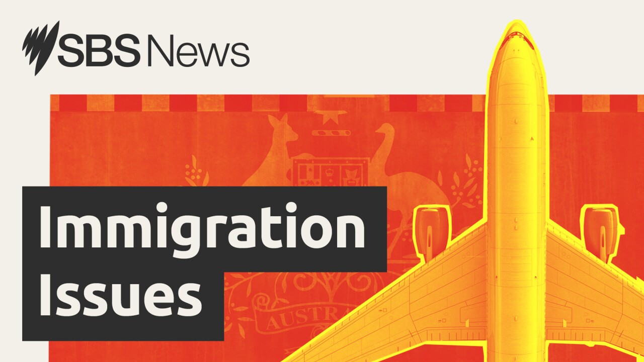 'I wish I was a dog in Australia': Muhammad's story as UN probes immigration detention 'I wish I was a dog in Australia': Muhammad's story as UN probes immigration detention