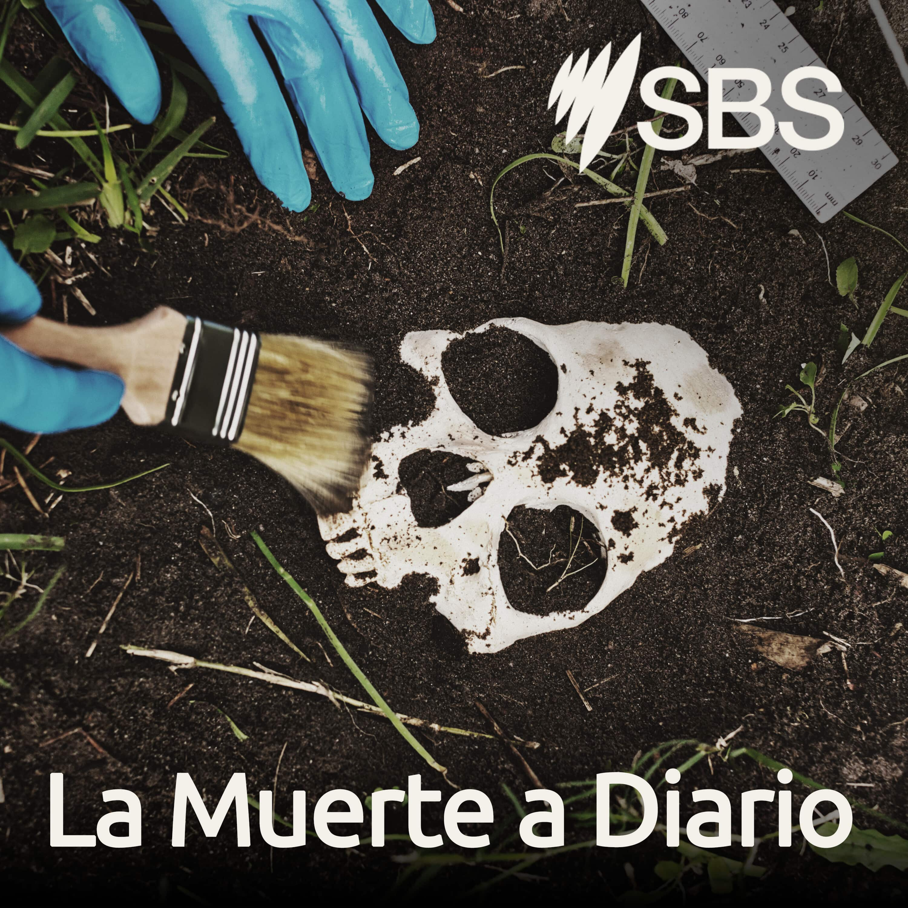 La Muerte a Diario