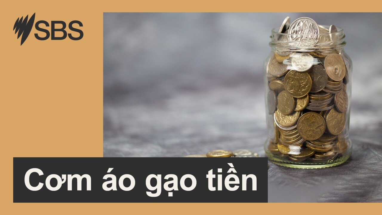 Cơm áo gạo tiền: Nguyên tắc để đầu tư thành công và những sai lầm thường gặp episode artwork