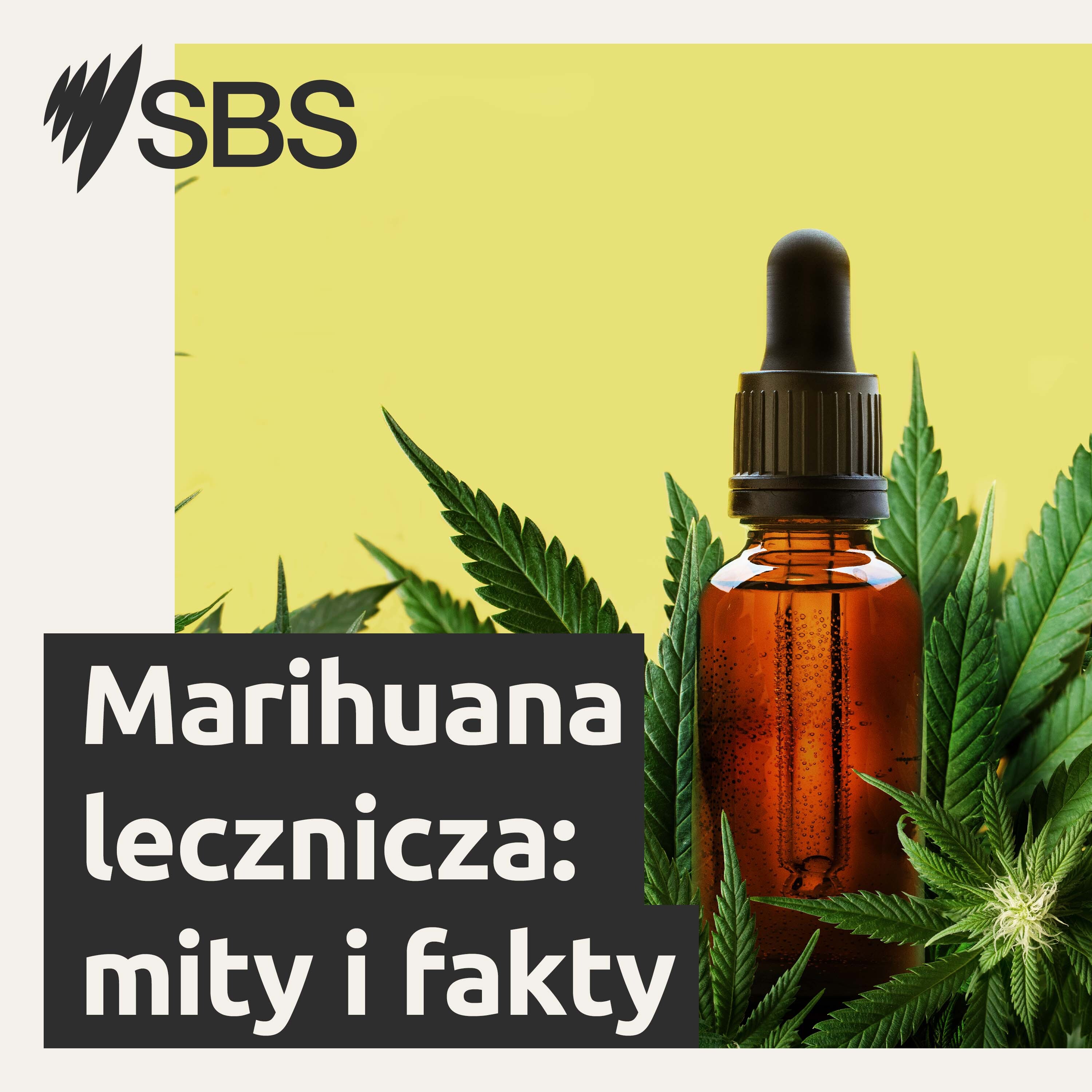 Marihuana Lecznicza: Fakty i mity