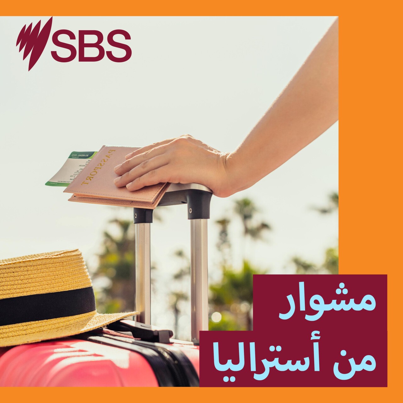 مشوار إلى غرامبيانز.. أحد أشهر منتزهات فيكتوريا للمشي والطبيعة البرية مشوار إلى غرامبيانز.. أحد أشهر منتزهات فيكتوريا للمشي والطبيعة البرية