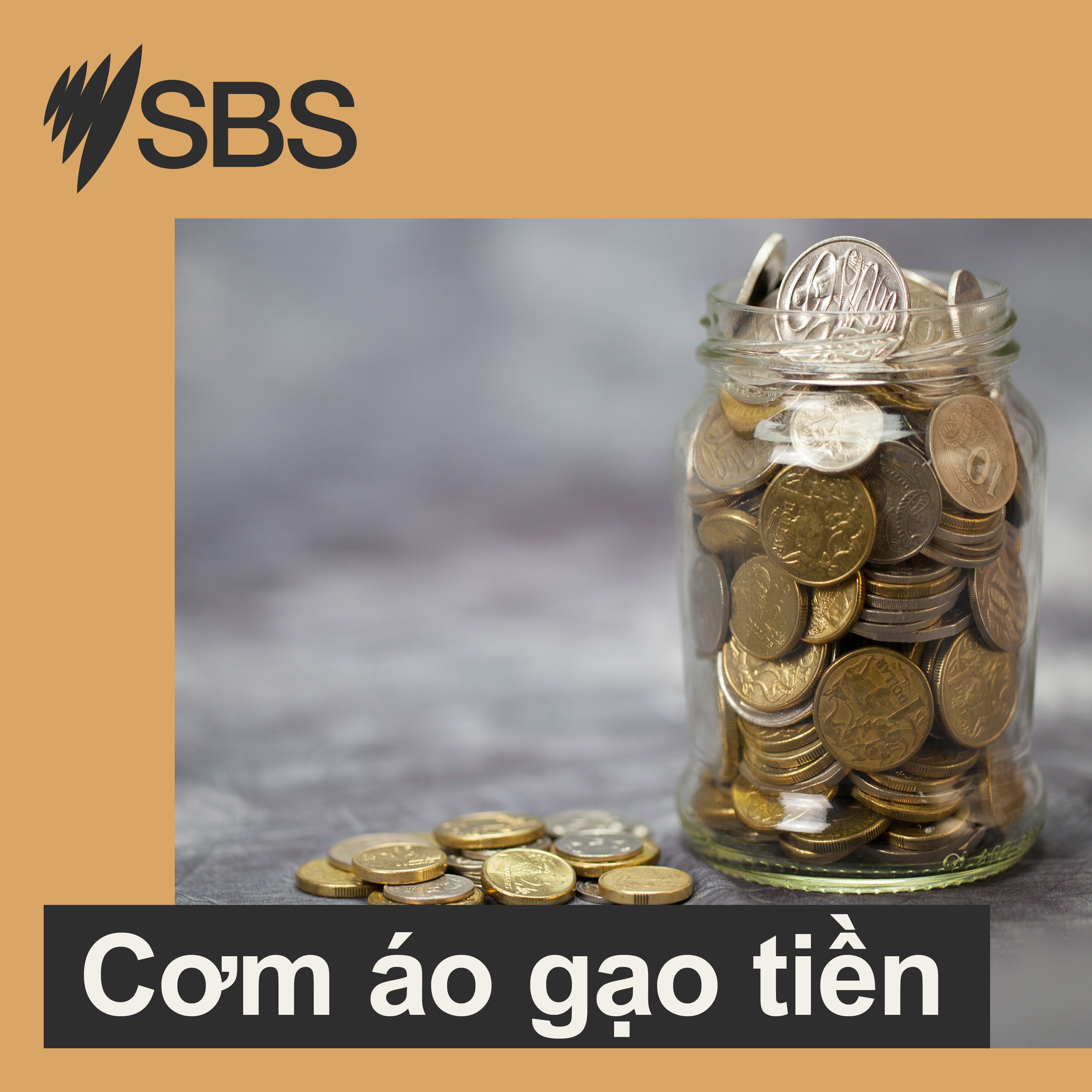 Cơm áo gạo tiền