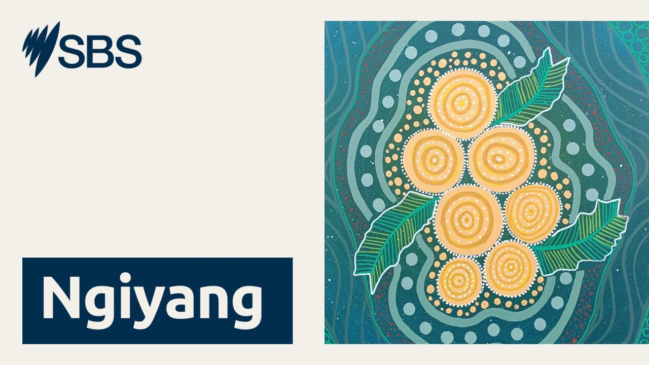 Ngiyang yalbiligu: The purpose of learning language