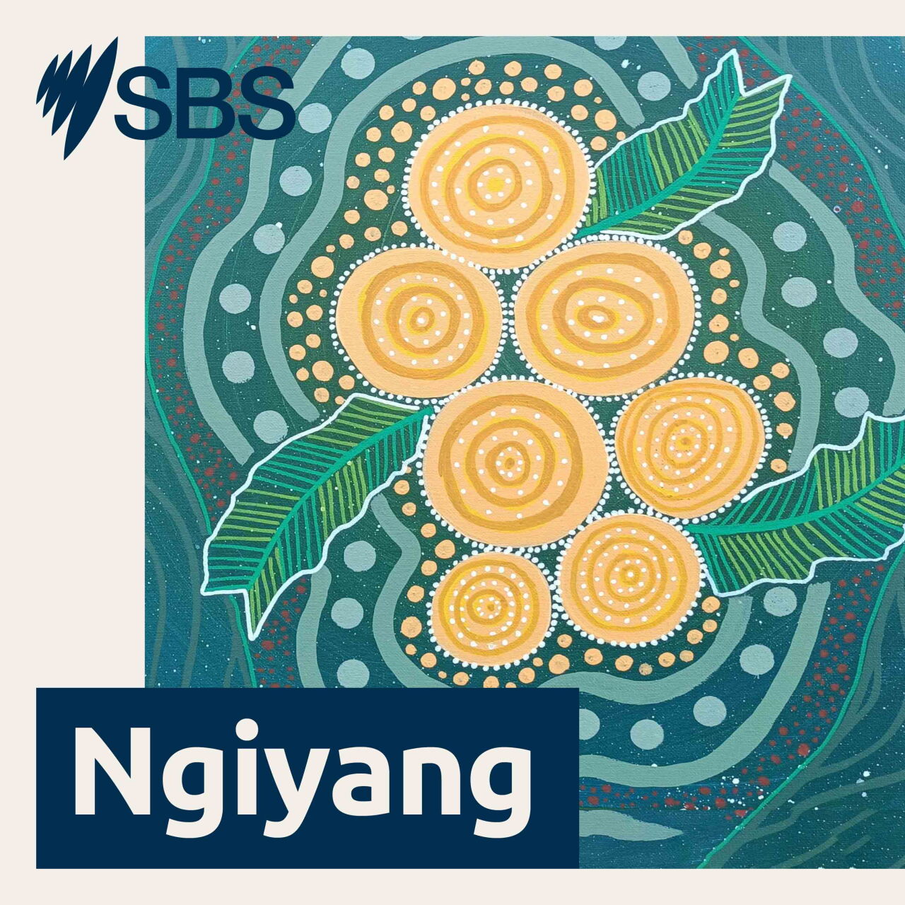 Wiray ngiyang, wiray mayiny: No language, no people