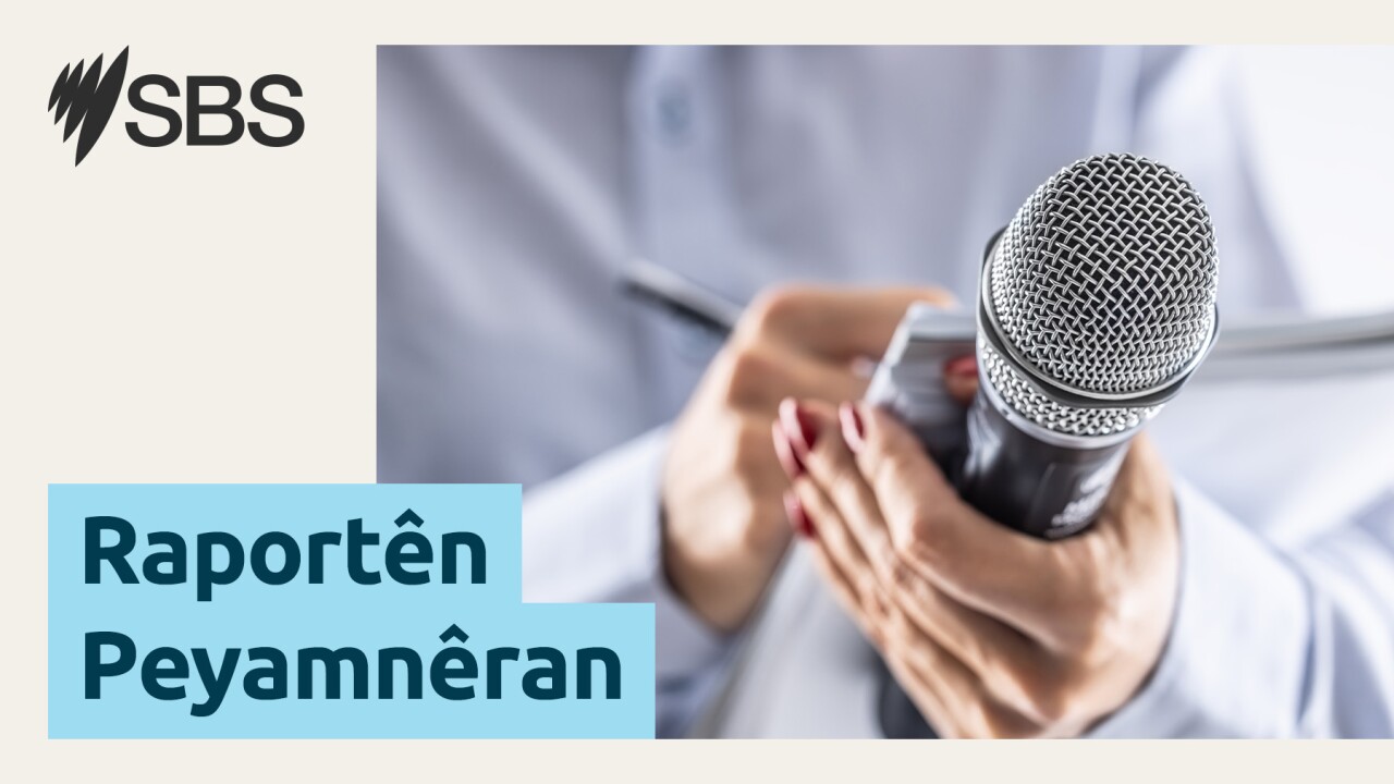 Gelo mimkun be hêzên Pêşmerge bibin yek? episode artwork