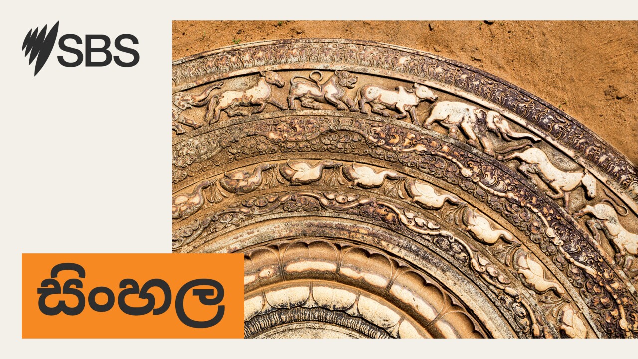 SBS සිංහල Newsflash දෙසැ 03: ශ්‍රී ලංකාවට බලපෑ දැඩි ගංවතුර තත්වය හේතුවෙන් මියගිය සංඛ්‍යාව තවදුරටත් ඉහලට