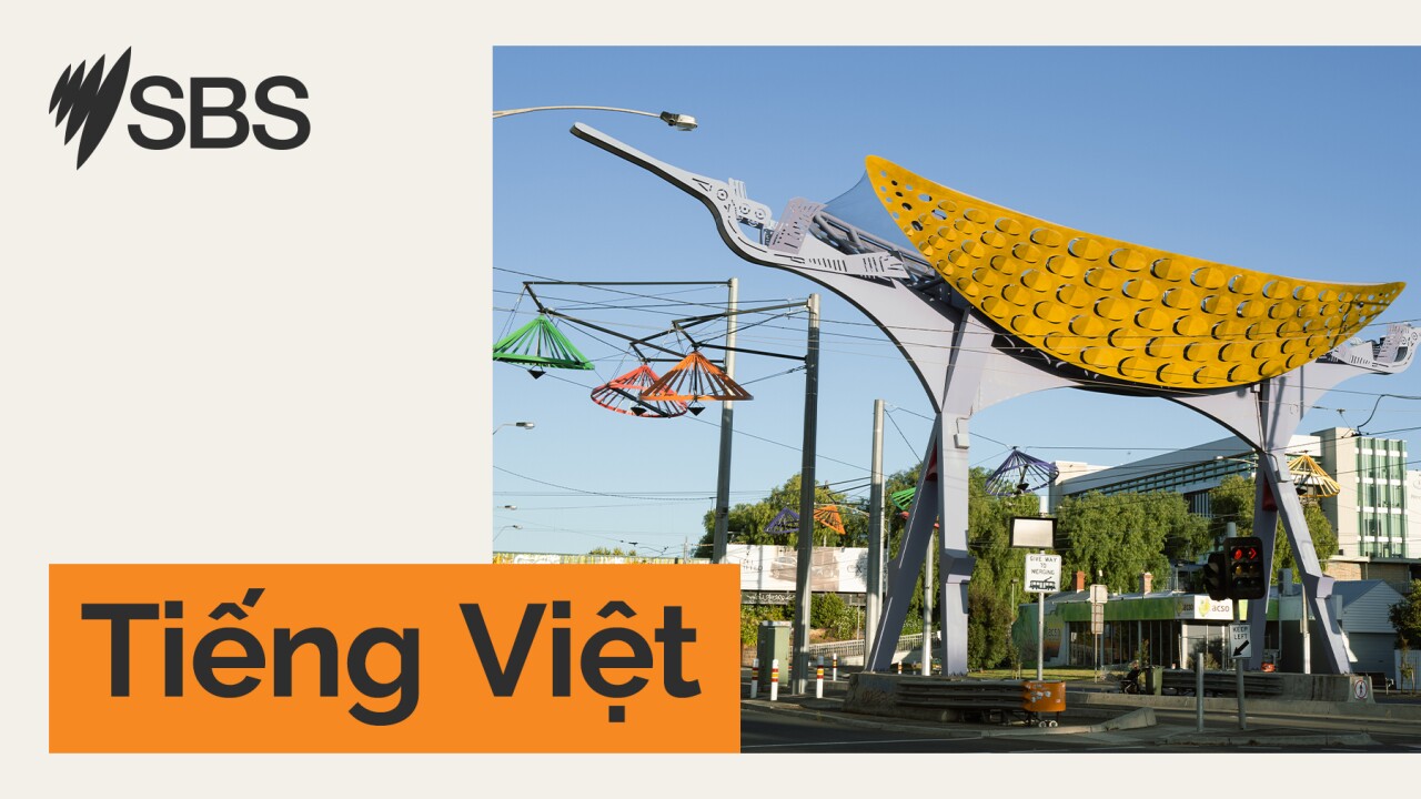 Cổ Nhạc Việt Nam - Bến Phà Kỷ Niệm episode artwork