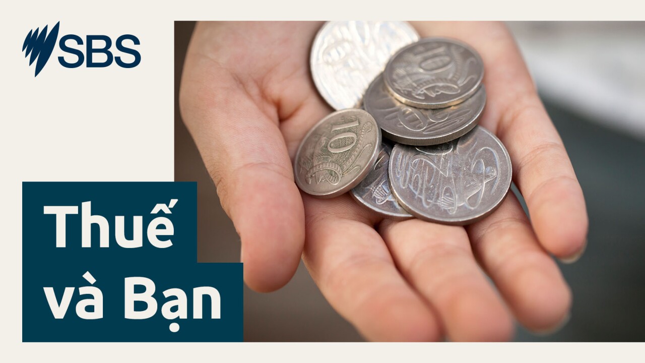 Thuế và bạn: Những việc cần làm trước ngày 30/6 để tối đa hoá khoản tiền hoàn thuế episode artwork