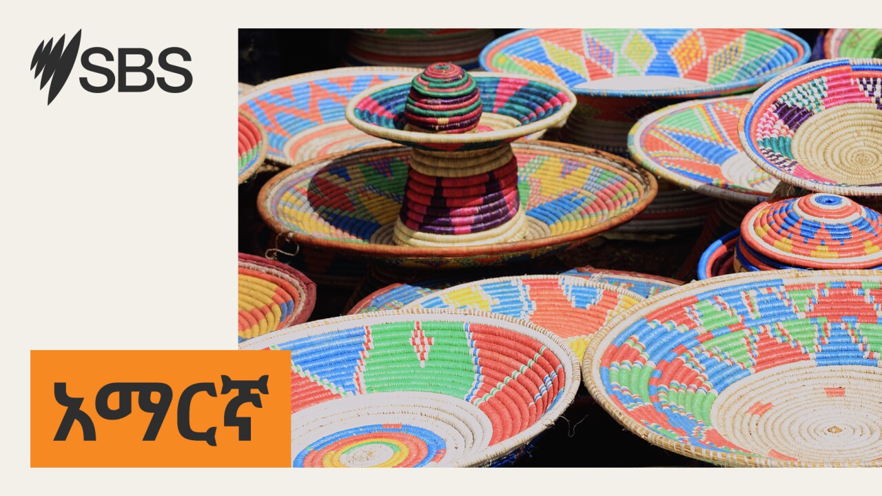 የቀድሞው የአውስትራሊያ ምክትል ጠቅላይ ሚኒስትር የዋን ኔሽን ፓርቲን ተቀላቀሉ