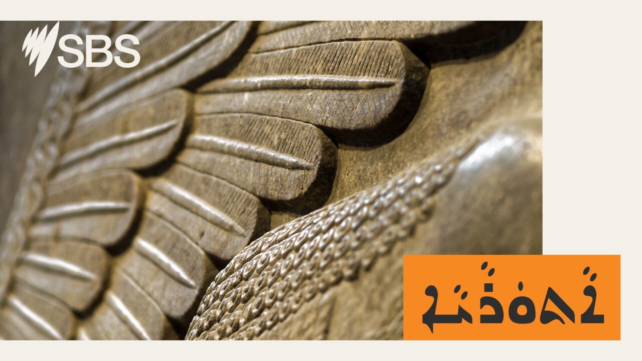 SBS Assyrian: Weekly news wrap