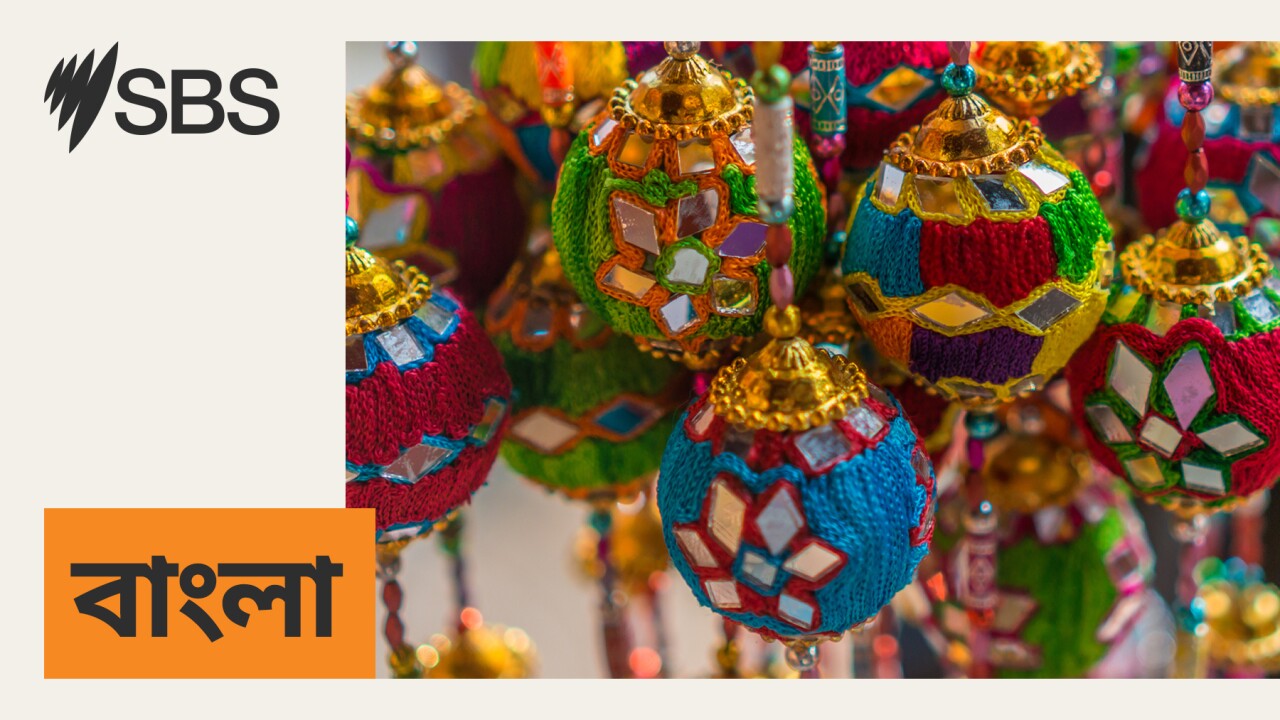এসবিএস বাংলা শীর্ষ খবর: ৪ ডিসেম্বর