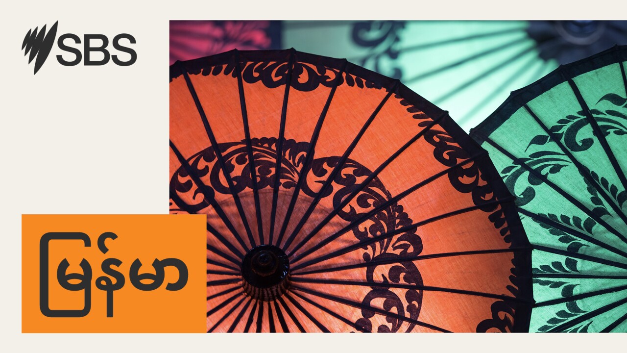 အဆက်အသွယ်မရှိသော ဌာနေတိုင်းရင်းသားများ၏ ထက်ဝက်သည် မျိုးသုဉ်းပျောက်ကွယ်မှုနှင့် ရင်ဆိုင်နေရ