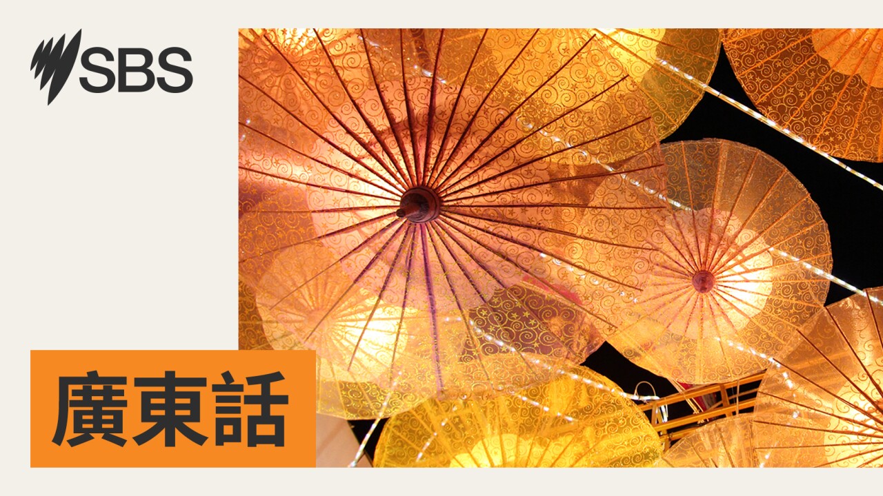 SBS廣東話新聞（2025 年 11 月 30 日）