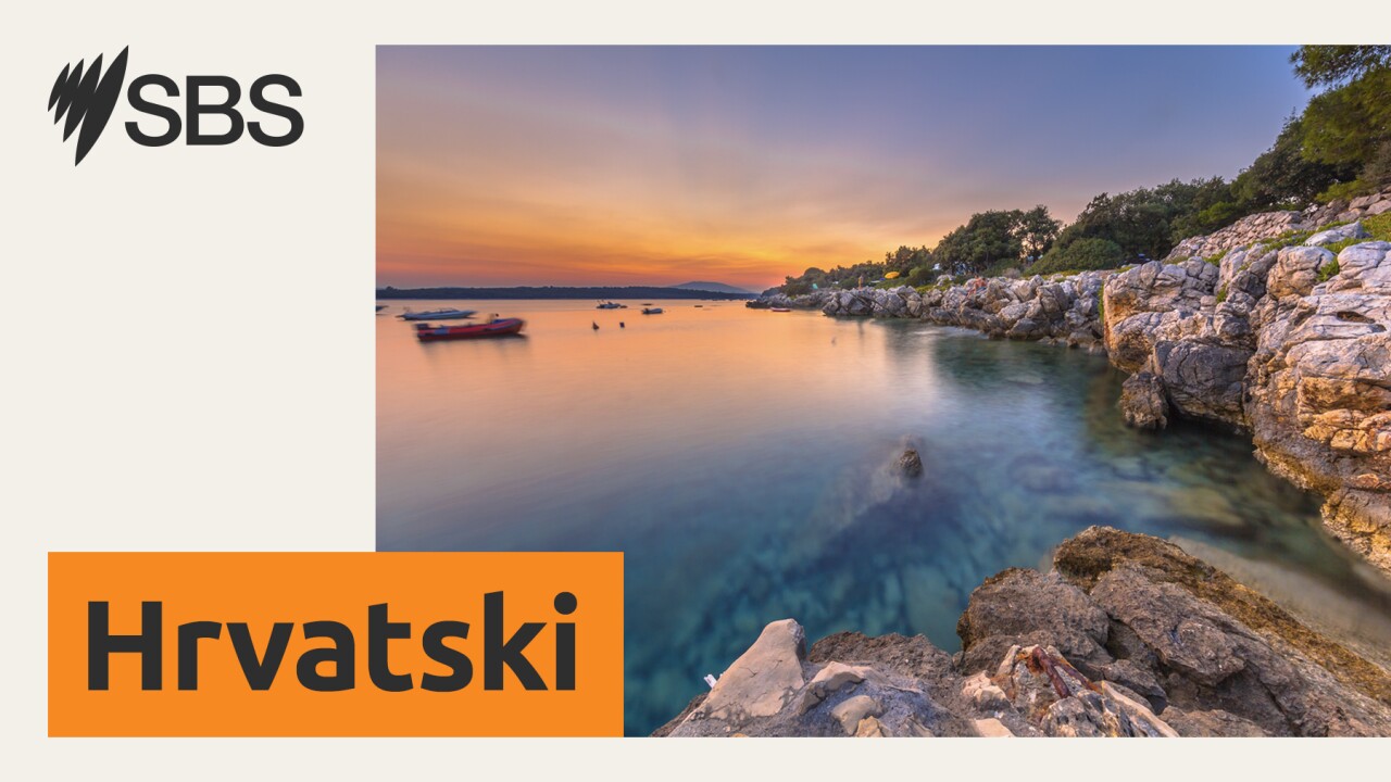 Program SBS-a na hrvatskom za petak, 5.12.2025.