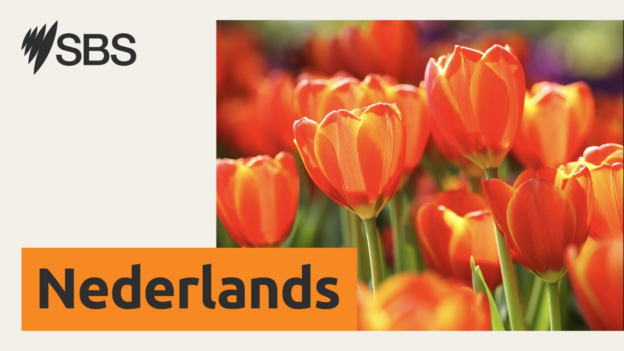 Terugluisteren: uitzending zaterdag 29 november 2025