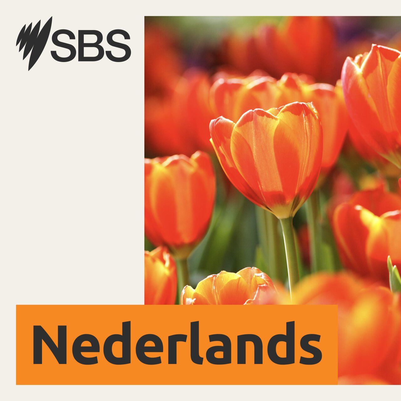 Selectie uit NOS 20 uur Journaal (wk 27)