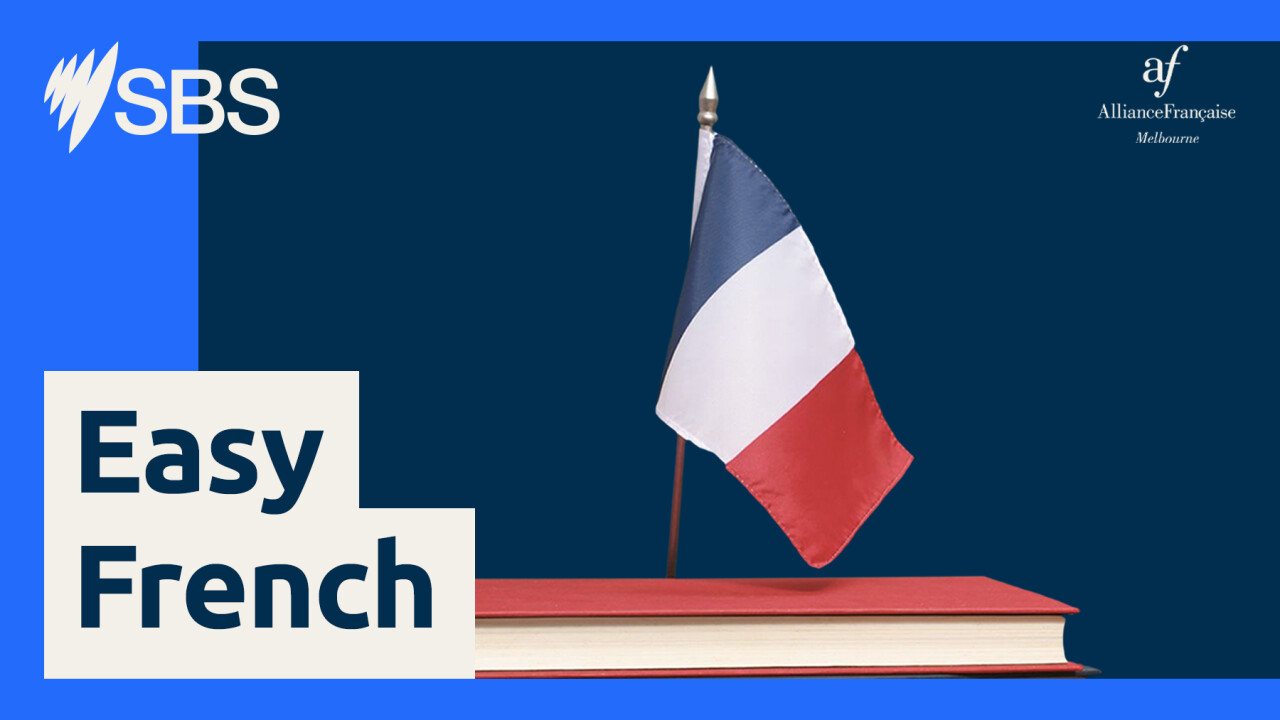 SBS Easy French #266 : quel avenir pour l’enseignement du français ?