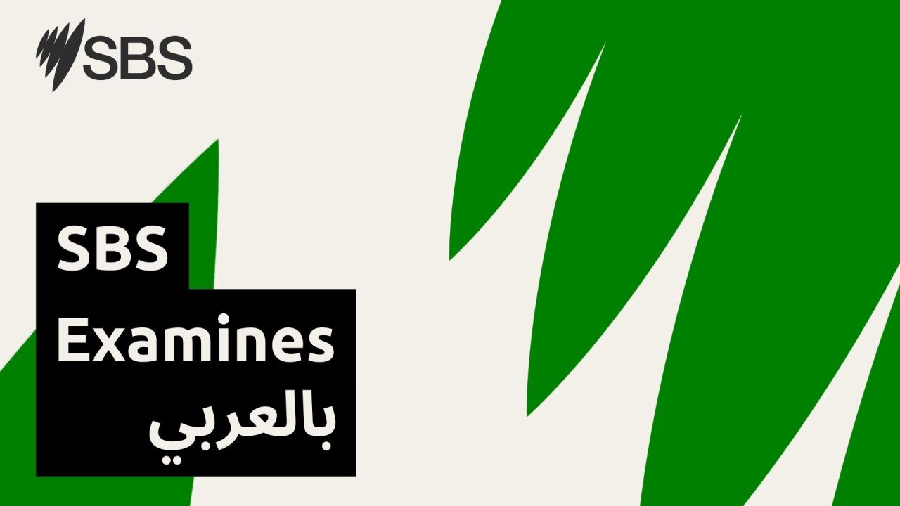 How do heatwaves highlight inequality? - SBS Examines: كيف فضحت موجات الحر الشديد عدم المساواة في أستراليا! episode artwork