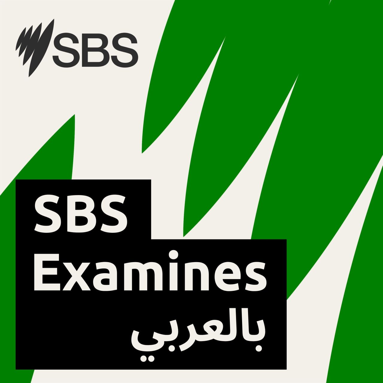 Who's profiting from your outrage? - من يستفيد من إثارة الانقسام الاجتماعي في المجتمع الأسترالي؟