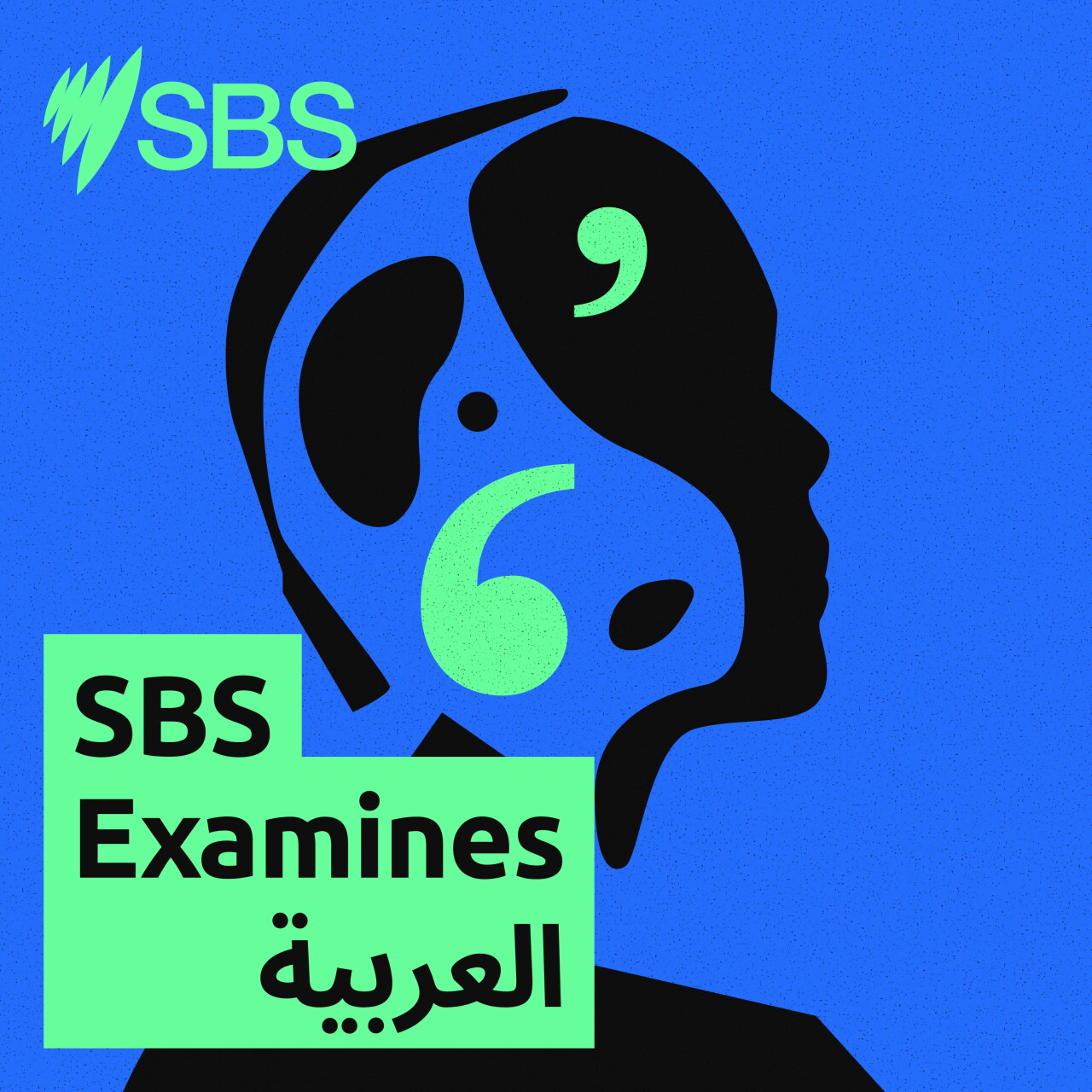 Census 2026: Why does the government ask these questions, and what happens to my personal details? - تعداد السكان لعام 2026: لماذا تطرح الحكومة هذه الأسئلة؟ وماذا يحدث لبياناتي الشخصية؟