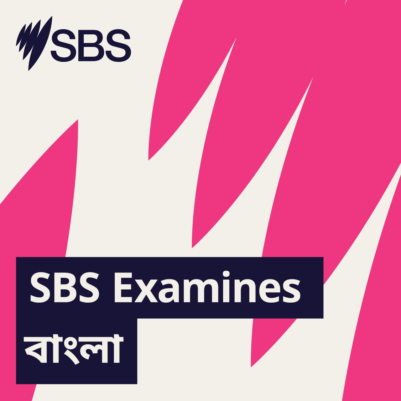 How should we talk to children about antisemitism? - SBS Examines: শিশুদের সঙ্গে অ্যান্টিসেমিটিজম নিয়ে কীভাবে কথা বলা উচিত? episode artwork