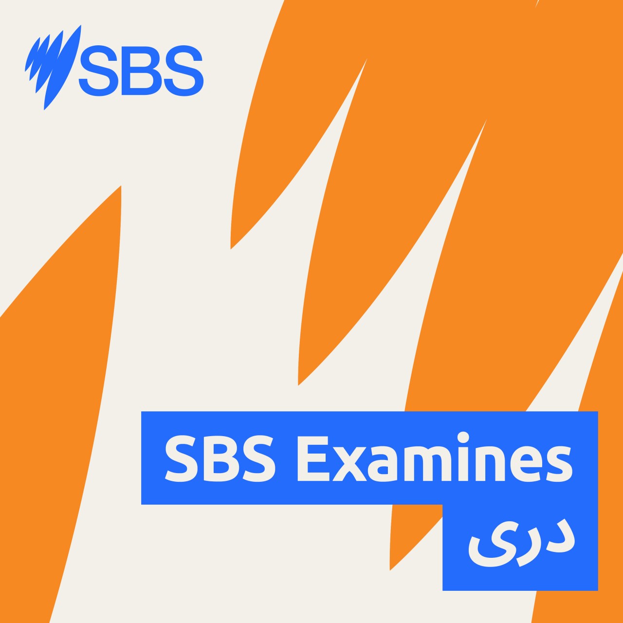 In a polarised and digital world, can grief unite us? - SBS EXAMINES: آیا غم واندوه می‌تواند ما را متحد سازد؟ episode artwork