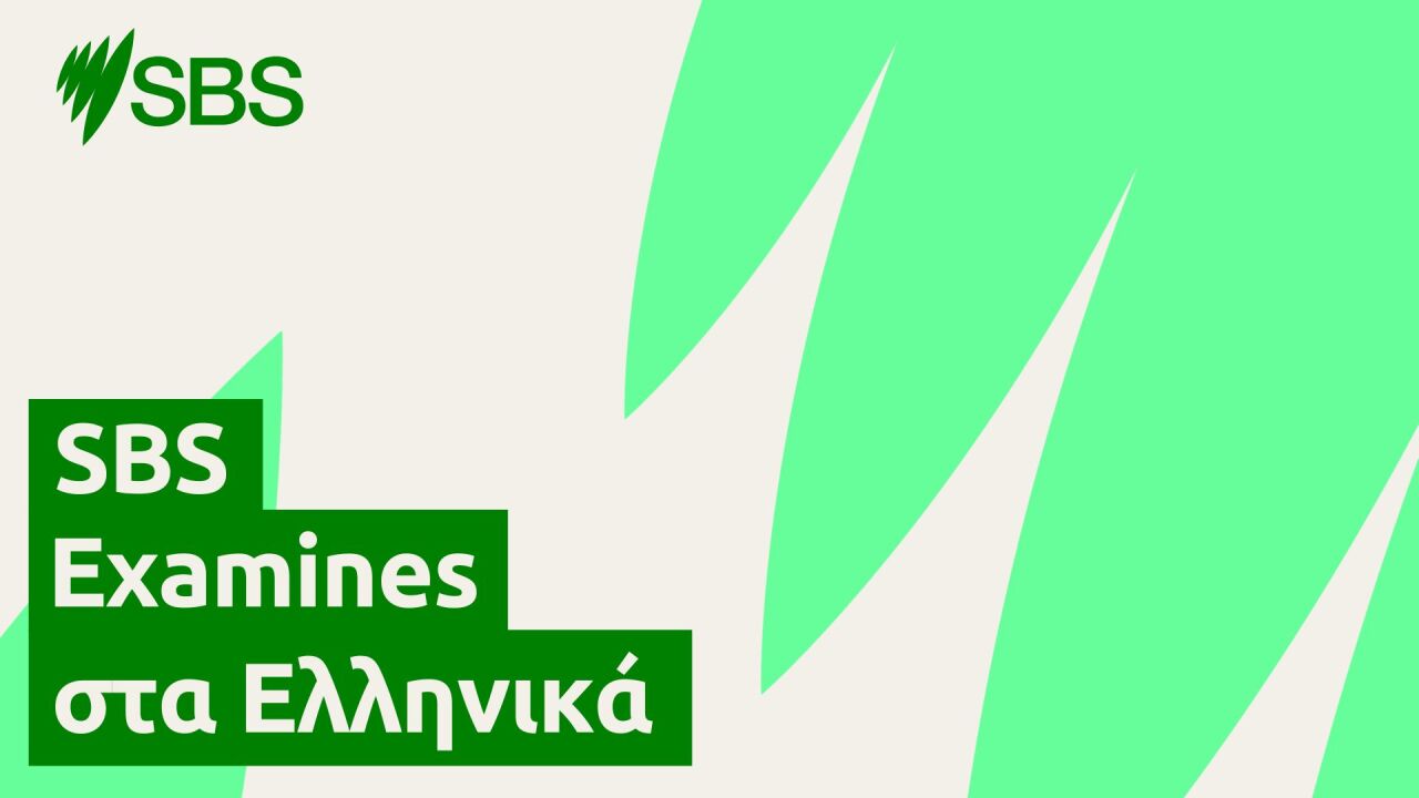 Rumours, Racism and the Referendum - SBS Examines: Φήμες, ρατσισμός και δημοψήφισμα episode artwork