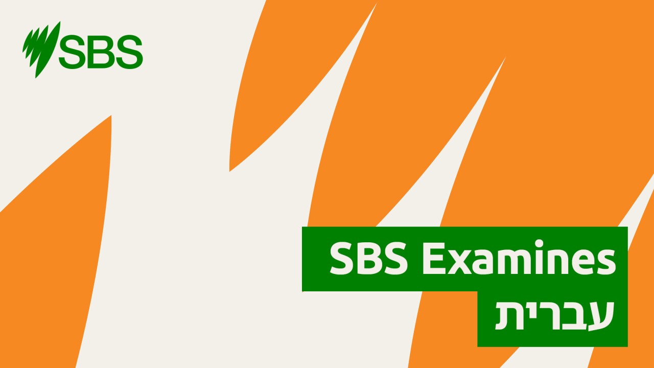 Fear, vigilance and polarisation: How antisemitism is impacting Jewish Australians - SBS Examines: כיצד האנטישמיות משפיעה על יהודים אוסטרלים episode artwork