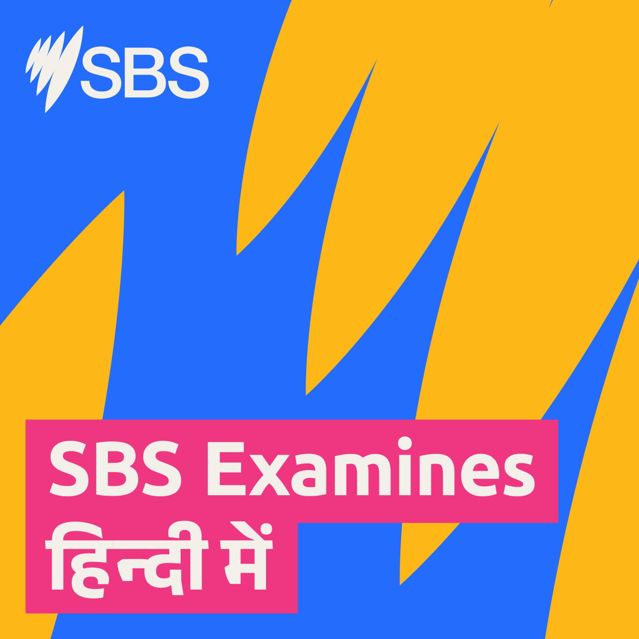 Meta, Media and Algorithms: Who decides what information we consume? - SBS Examines: मेटा, मीडिया और एल्गोरिदम: कौन तय करता है कि हम कौन सी जानकारी इस्तेमाल करते हैं? episode artwork