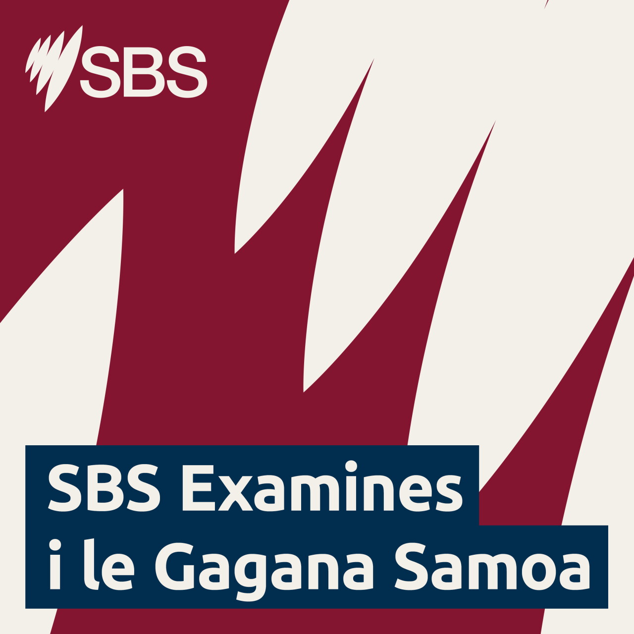 Rapa Nui repatriations: Right or wrong? - SBS Examines: E alagatatau le toe faafoi atu o toega o tagata maliliu o Rapa Nui? episode artwork
