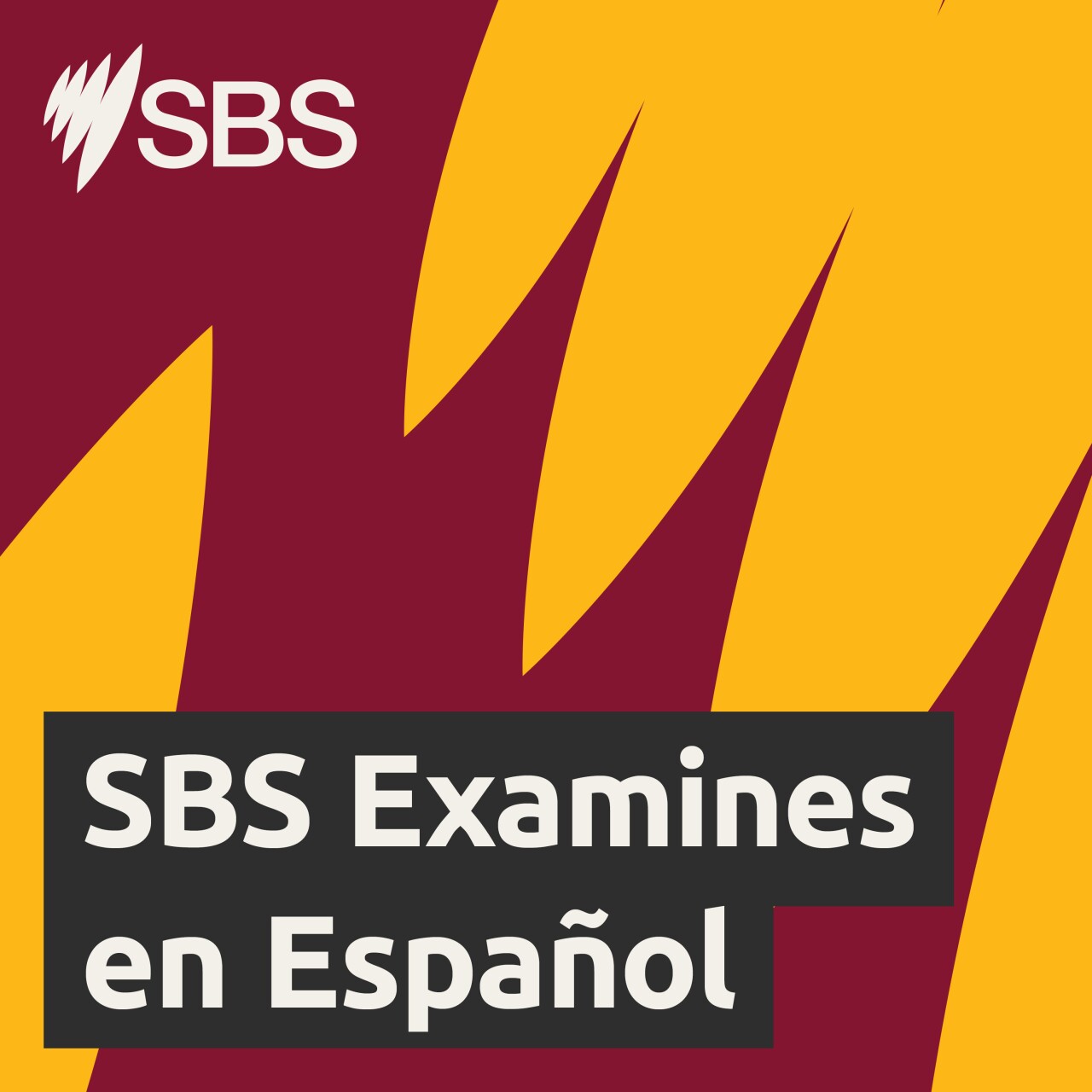 Whose responsibility is it to prevent hateful content on social media? - SBS Examines | ¿De quién es la responsabilidad de moderar el contenido que incita al odio en redes sociales?