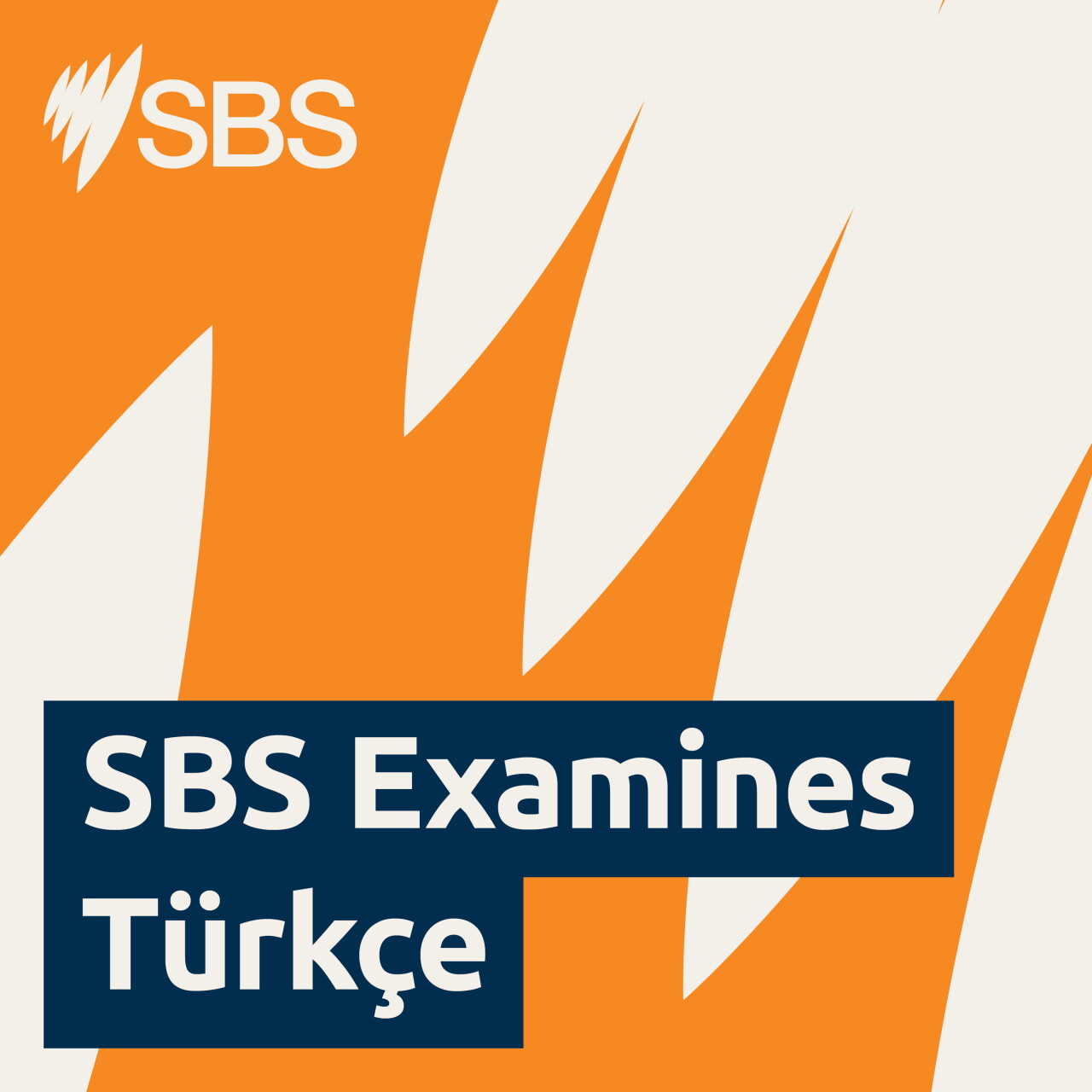 Who's profiting from your outrage? - SBS Examines: Öfkenizden kim yararlanıyor?