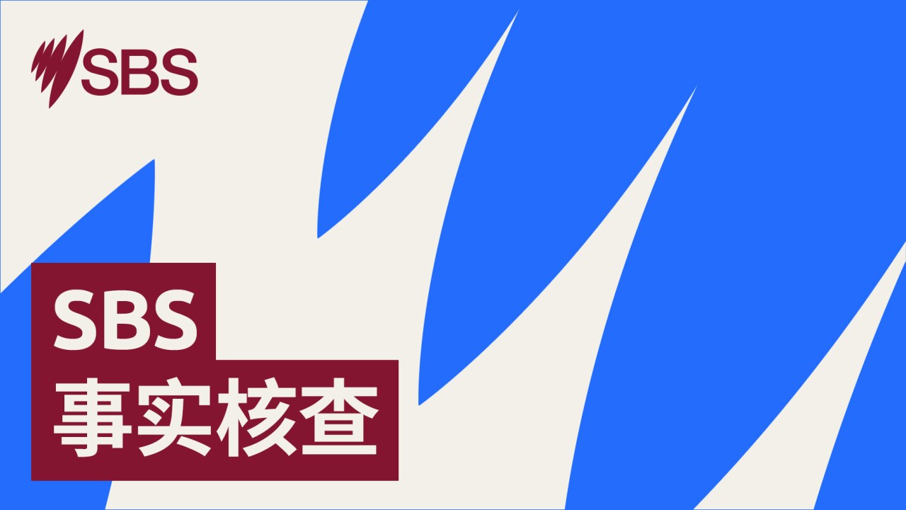 ‘Everyone wants to matter’: How we can prevent hate and division in our neighbourhoods - SBS Examines：“每个人都渴望被重视”：如何在社区中预防仇恨与社会分裂