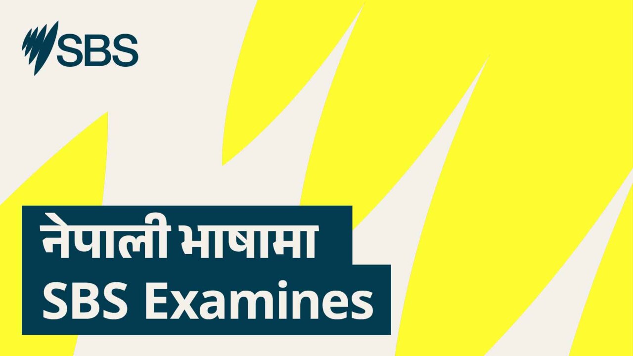'Society is fragmenting': What's behind rising levels of hatred? - ‘समाज टुक्रिँदै छ’: घृणाको मात्रा बढ्दै जानुका पछाडि के कारण छन्?