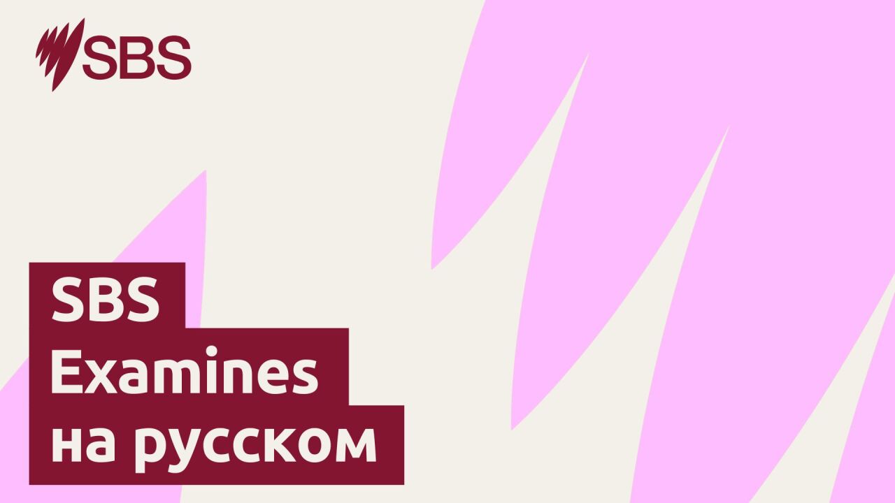 'It's a fraught experience just going out in public': The everyday toll of transphobia - SBS Examines: «Каждый выход в люди — испытание». Будни трансфобии