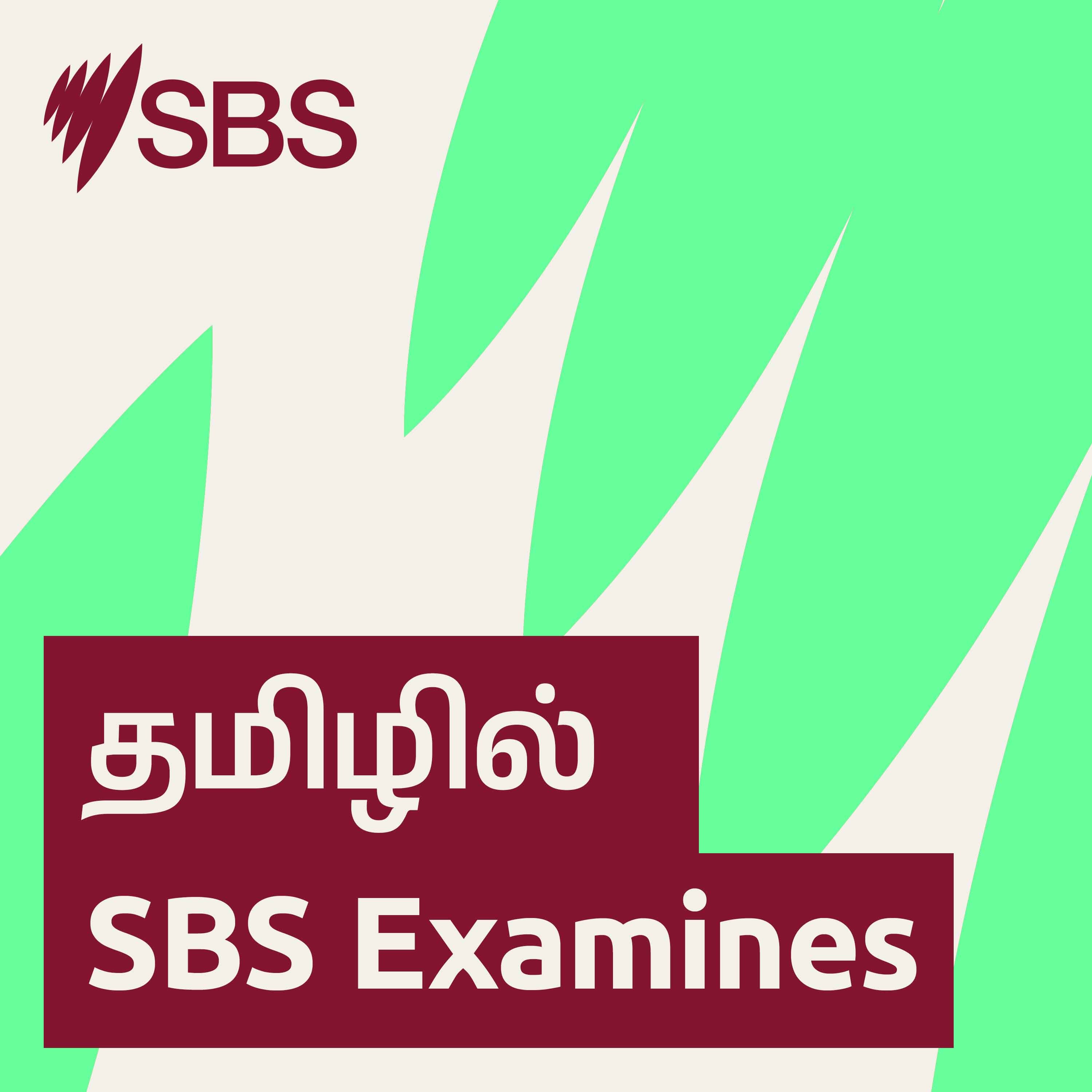 SBS Examines தமிழ்