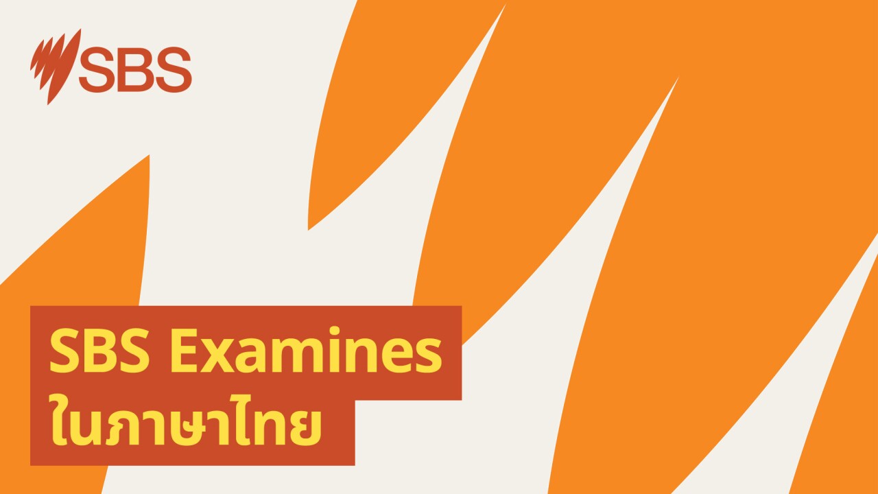 Who's Right? Who's Left? Where do you fall on the political spectrum? - SBS Examines: ใครขวา? ใครซ้าย? คุณอยู่ตรงไหนในการแบ่งฝั่งตามอุดมการณ์ทางการเมือง