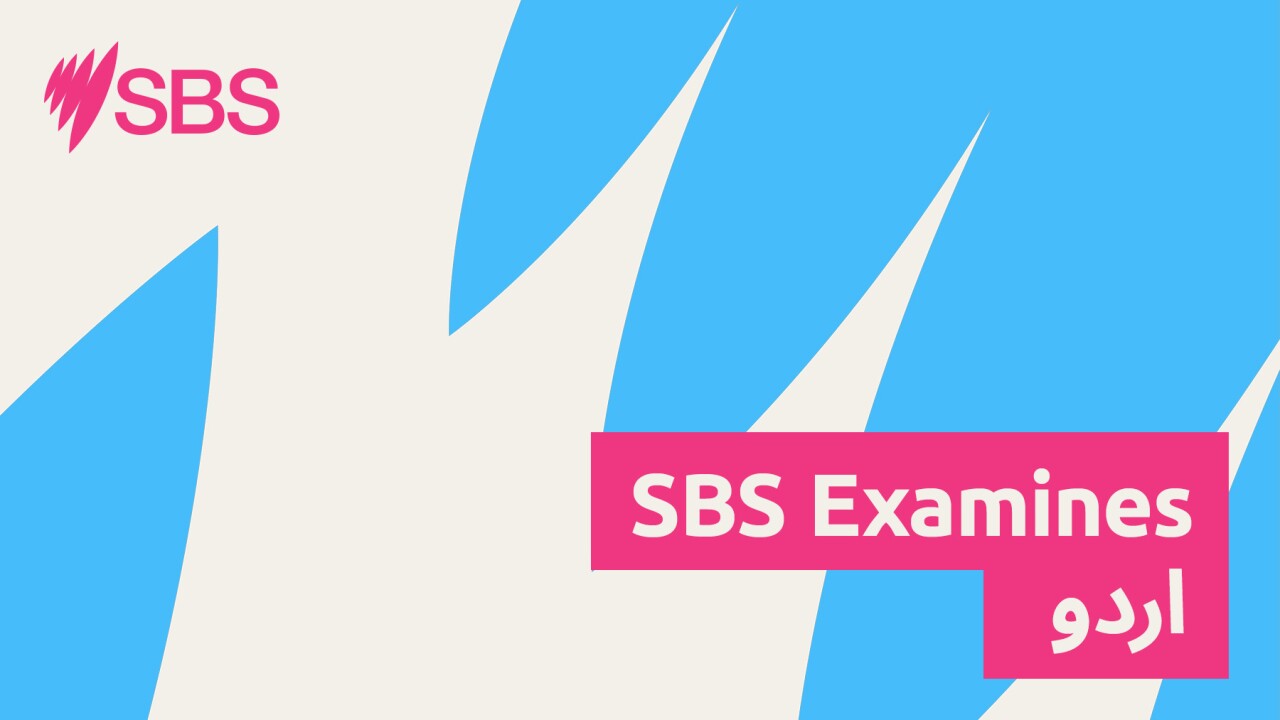 ‘Everyone wants to matter’: How we can prevent hate and division in our neighbourhoods - SBS Examines : ہر کسی کو اہمیت درکار ہے ، ہم اپنے ارد گرد نفرت کو کیسے روک سکتے ہیں ؟ ‘Everyone wants to matter’: How we can prevent hate and division in our neighbourhoods - SBS Examines : ہر کسی کو اہمیت درکار ہے ، ہم اپنے ارد گرد نفرت کو کیسے روک سکتے ہیں ؟