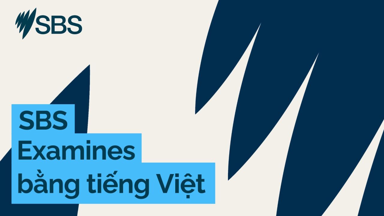 ‘Everyone wants to matter’: How we can prevent hate and division in our neighbourhoods - SBS Examines: “Ai cũng muốn được coi trọng": Xây dựng cộng đồng gắn kết