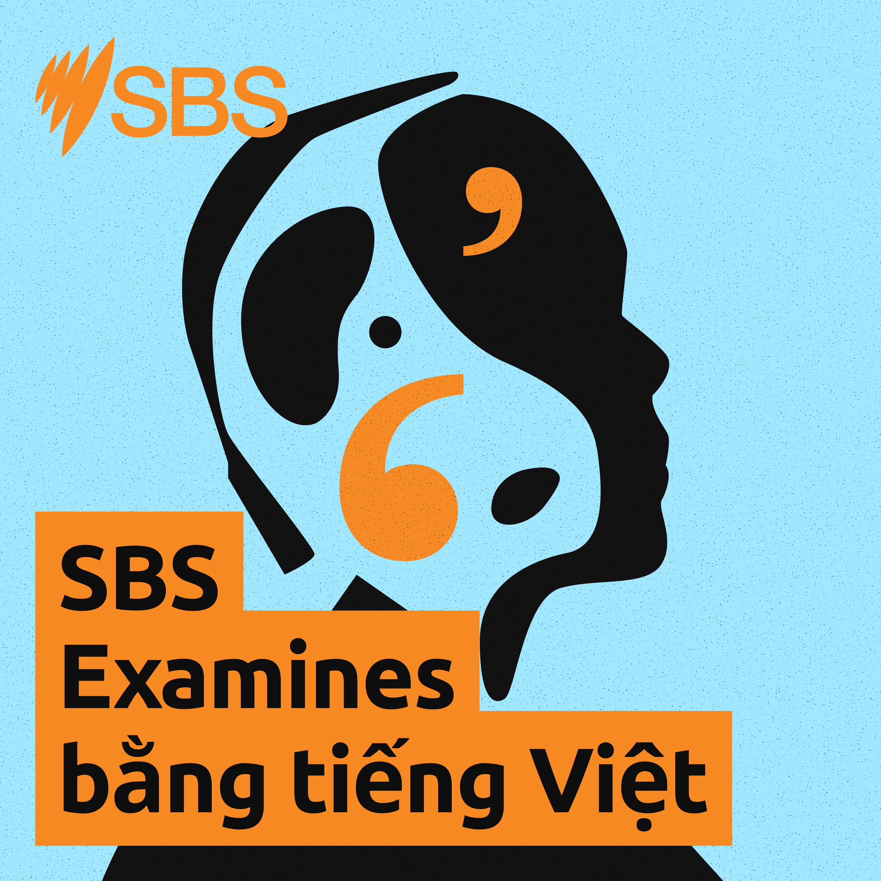 SBS Examines bằng tiếng Việt cover